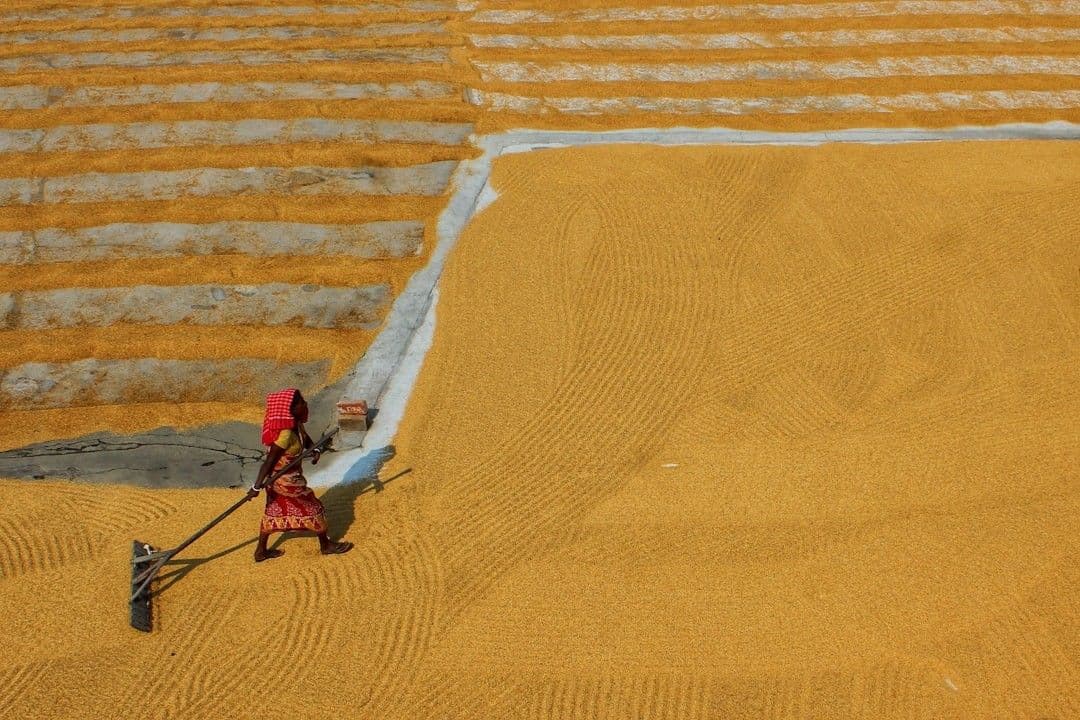 a woman in a red dress is walking through a field — Photo Dibakar Roy / Unsplash