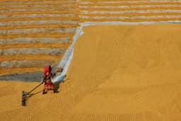 a woman in a red dress is walking through a field — Photo Dibakar Roy / Unsplash