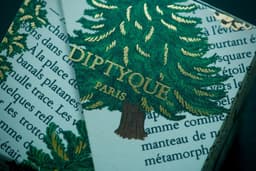 Diptyque paris logo with green pine tree design. — Photo Muscat / Unsplash