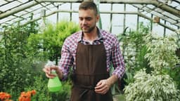 Attractive man worker in apron watering plants and flowers with garden sprayer in the greenhouse — Photo Vitaly Gariev / Unsplash