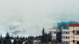 a building with trees in the front — Photo Hayrunnisa Görgülü / Unsplash