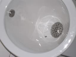A close up of a white toilet bowl — Photo JOE Planas / Unsplash
