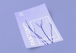 Pantone color of the year 2022 — Photo Almas Salakhov / Unsplash