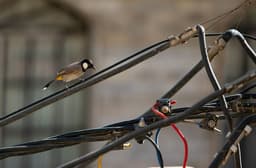 electrical bir engineer ! — Photo Nima Ghazaei / Unsplash