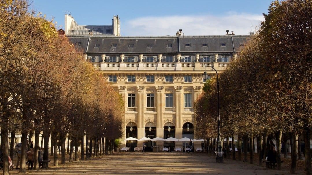 a large building with a lot of trees in front of it — Photo Andrea Fontalvo / Unsplash