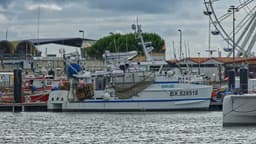 L'Esturial est un des rares navires scientifiques français destinés aux recherches sur les ressources aquatiques des fleuves et estuaires.
Il s'agit d'un catamaran de 13,65 m, spécialement conçu et équipé pour réaliser des pêches d'échantillonnage, des campagnes de mesures et des prélèvements benthiques.
L'estuaire de la Gironde est le domaine privilégié de l'Esturial. Ainsi, ce navire constitue l'outil de base des investigations sur les populations de poissons et de crustacés dans le cadre de protocoles de recherches qui impliquent une régularité et une périodicité soutenue. — Photo Pascal Bernardon / Unsplash