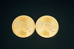 Two gold QEST coins placed on a black background — Photo Traxer / Unsplash