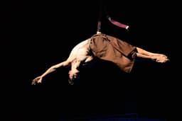 a man hanging upside down on a rope — Photo Victoria Wang / Unsplash