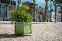 a green planter sitting on top of a cobblestone road — Photo Harper Swan / Unsplash