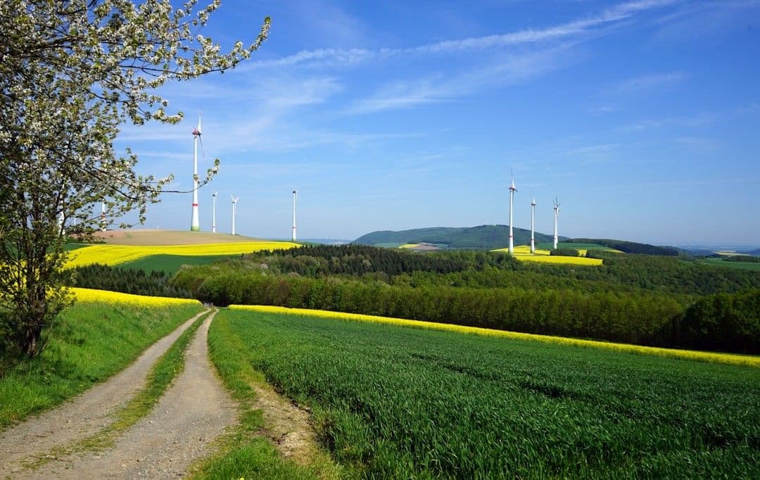 green grass field near wind turbines under blue sky during daytime — Photo Barbara Horn / Unsplash