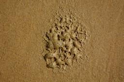 brown sand — Photo John Doyle / Unsplash