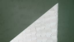 white textile on green textile — Photo Jake Nebov / Unsplash