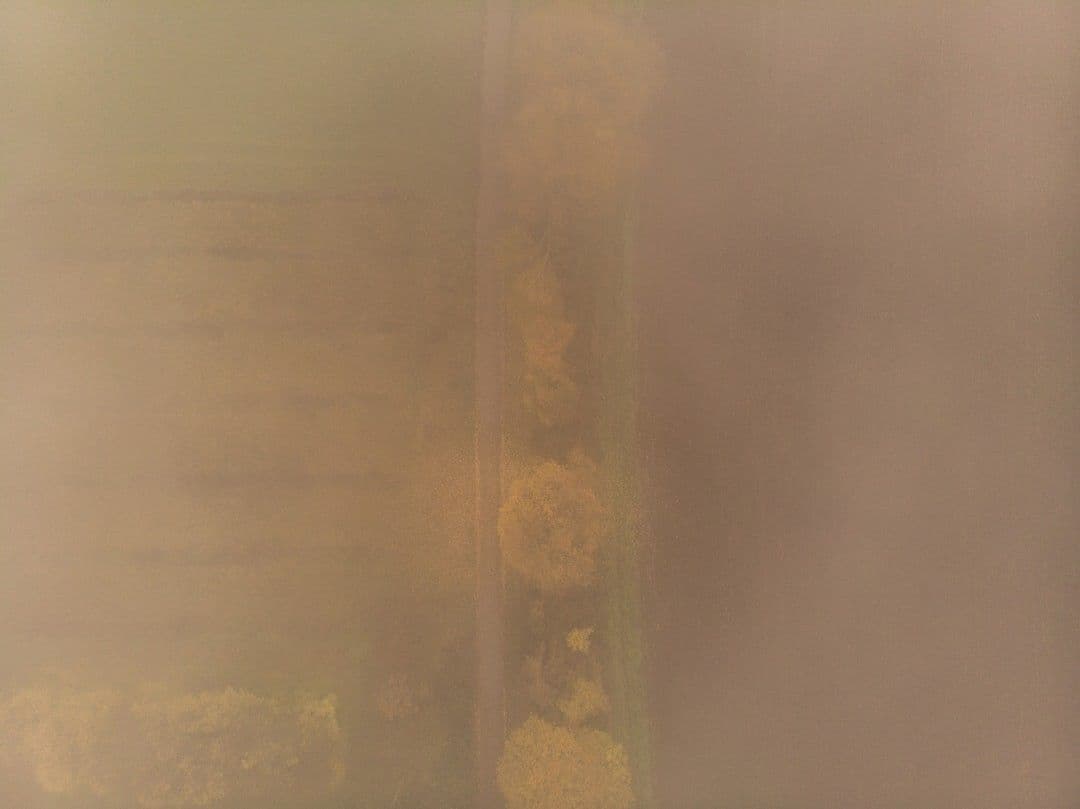 Autumn trees in the fog, drone view — Photo Bernd 📷 Dittrich / Unsplash
