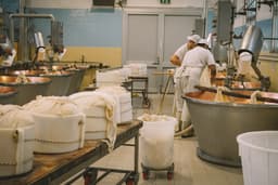 a few men working in a factory — Photo Caroline Roose / Unsplash